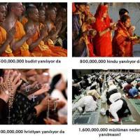 1.600.000.000 Müslüman neden yanılmasın?